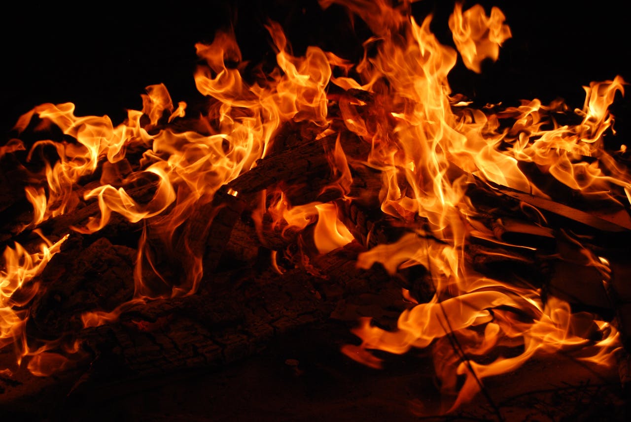 Burning tree